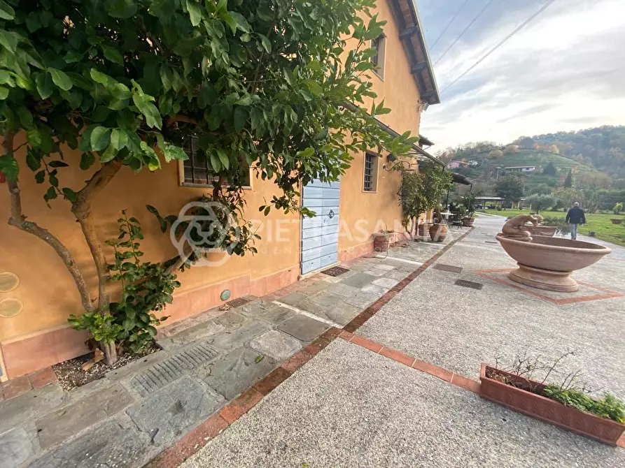 Immagine 11 di Rustico / casale in vendita  a Pietrasanta