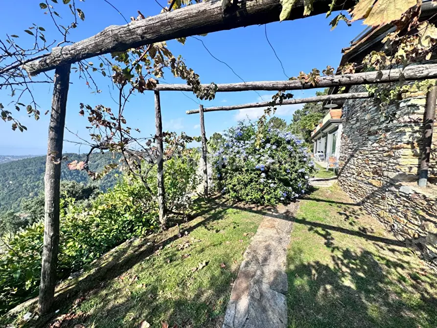 Immagine 47 di Casa colonica in vendita  a Pietrasanta