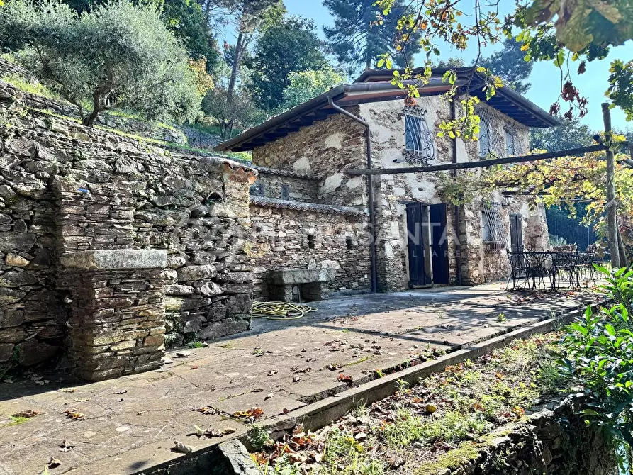 Immagine 39 di Casa colonica in vendita  a Pietrasanta