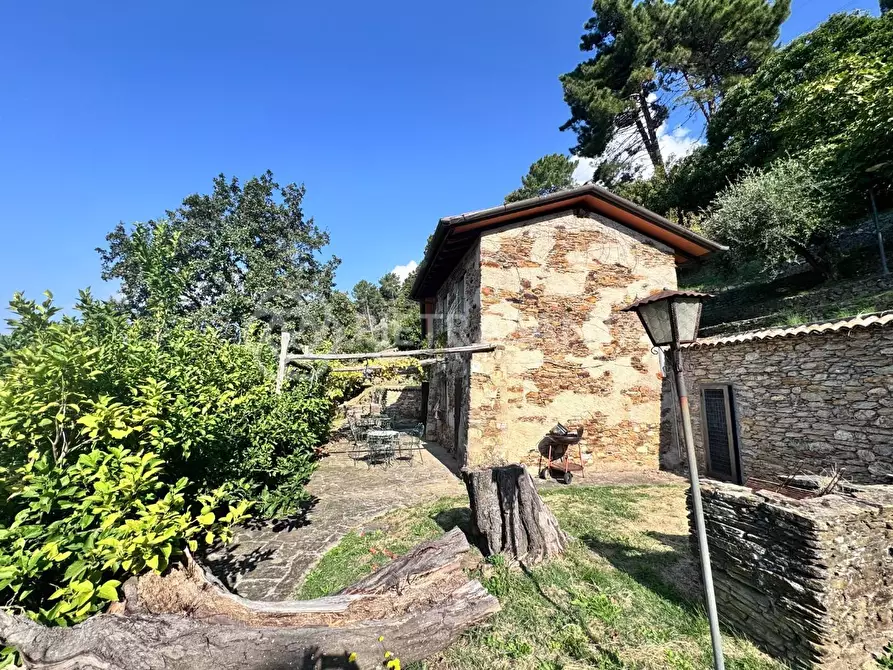 Immagine 45 di Casa colonica in vendita  a Pietrasanta