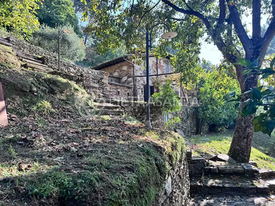 Immagine 38 di Casa colonica in vendita  a Pietrasanta