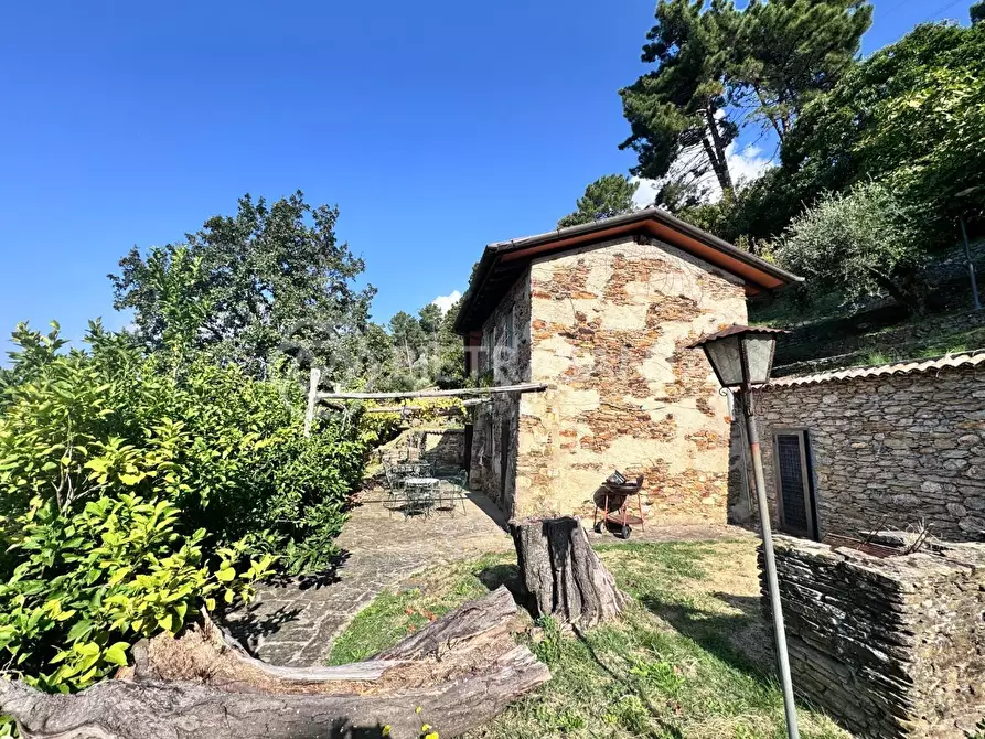 Immagine 44 di Casa colonica in vendita  a Pietrasanta