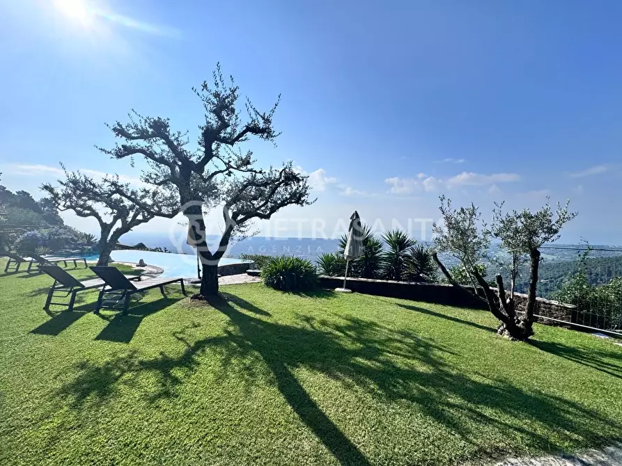 Immagine 51 di Casa colonica in vendita  a Pietrasanta
