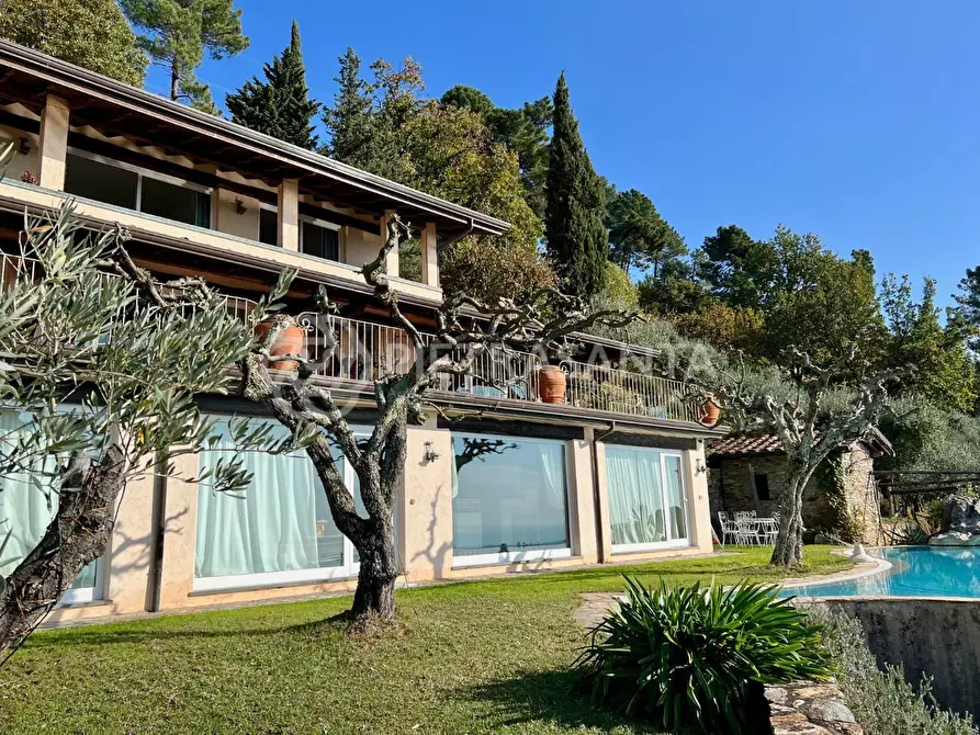 Immagine 3 di Casa colonica in vendita  a Pietrasanta