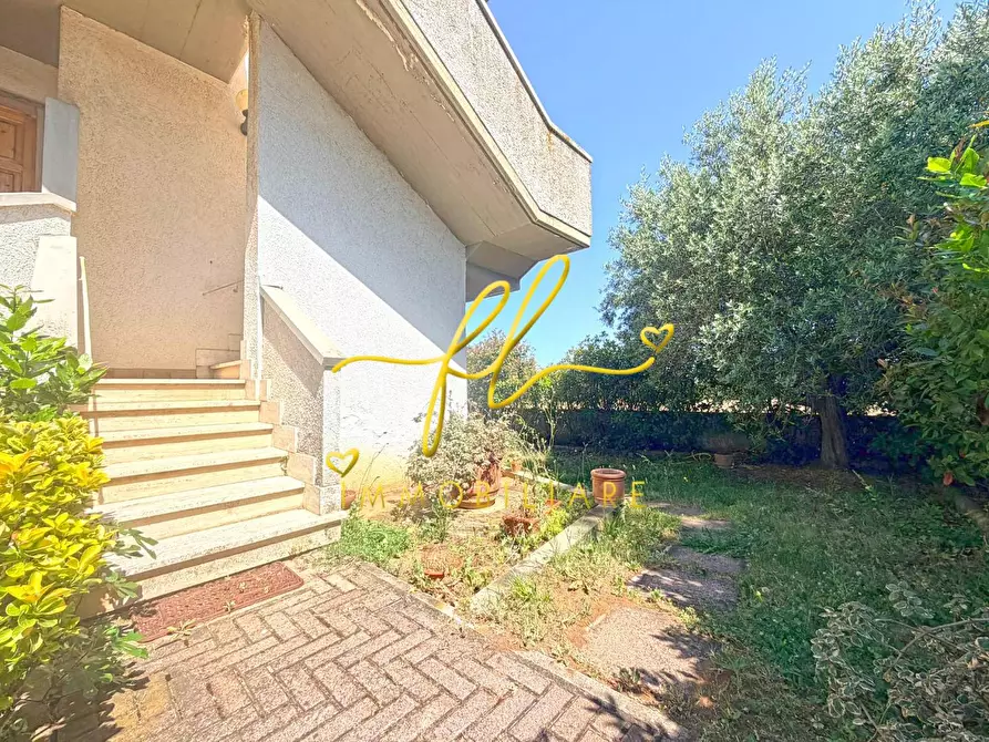 Immagine 44 di Appartamento in vendita  a Rosignano Marittimo