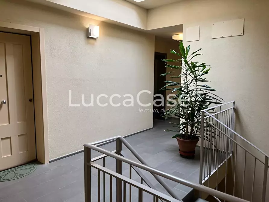 Immagine 2 di Appartamento in vendita  a Lucca