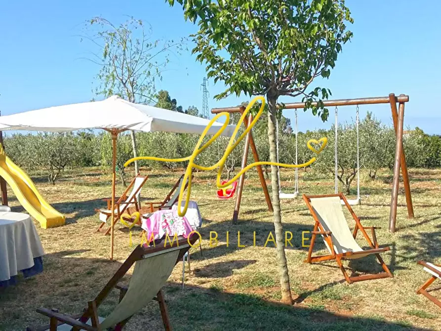 Immagine 3 di Terreno agricolo in vendita  a Rosignano Marittimo