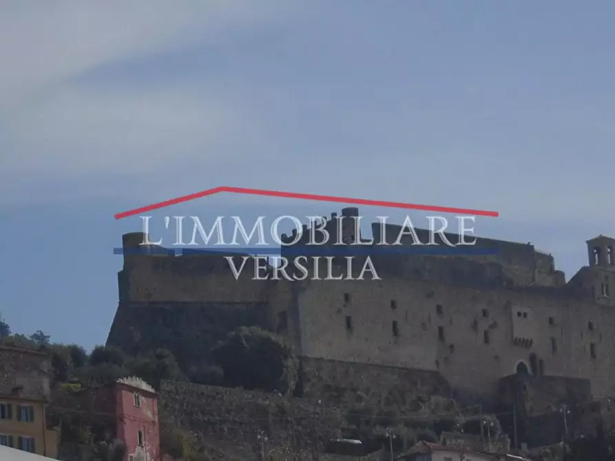Immagine 13 di Casa indipendente in vendita  a Massa