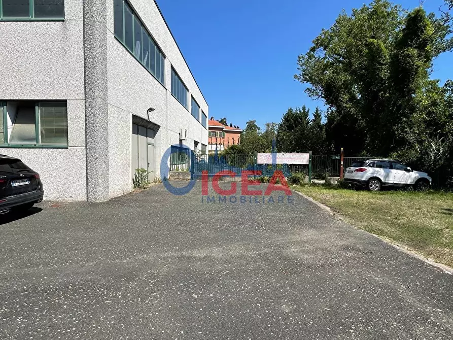 Immagine 9 di Magazzino in vendita  a Colle Di Val D'elsa