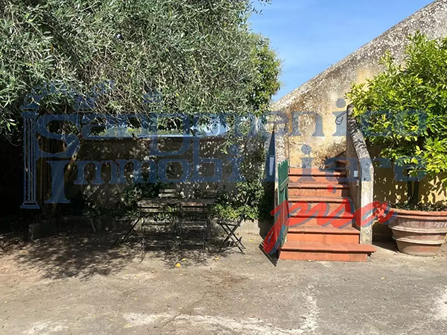Immagine 3 di Casa colonica in affitto  a San Giuliano Terme