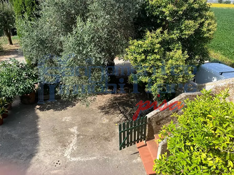 Immagine 2 di Casa colonica in affitto  a San Giuliano Terme