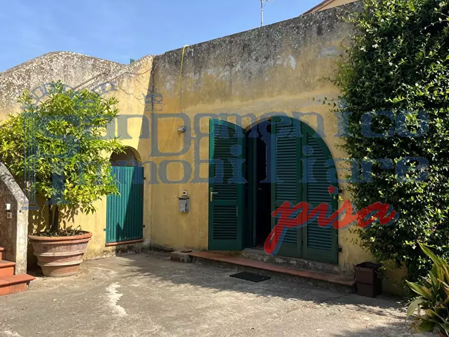 Immagine 4 di Casa colonica in affitto  a San Giuliano Terme