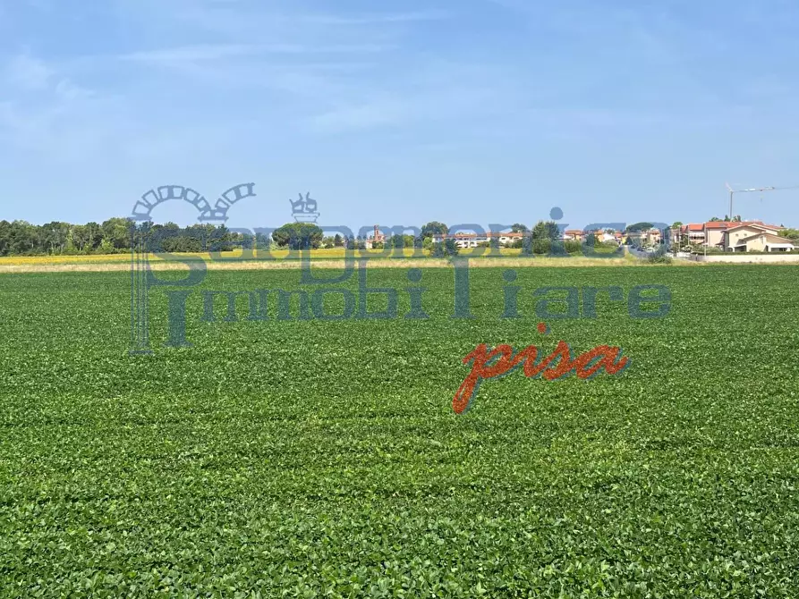 Immagine 5 di Casa colonica in affitto  a San Giuliano Terme