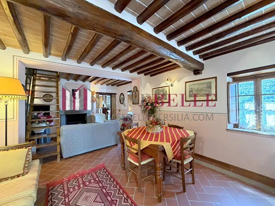 Immagine 3 di Rustico / casale in vendita  a Camaiore