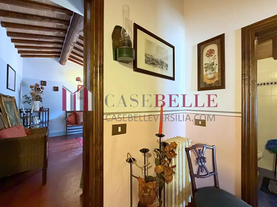 Immagine 22 di Rustico / casale in vendita  a Camaiore