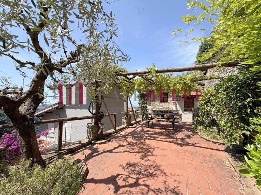 Immagine 48 di Rustico / casale in vendita  a Camaiore