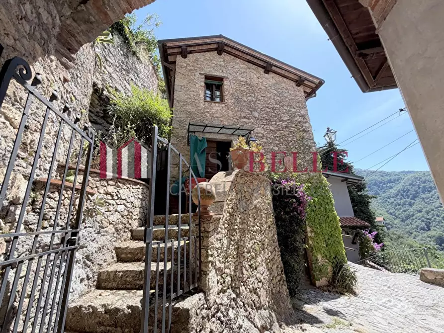 Immagine 52 di Rustico / casale in vendita  a Camaiore