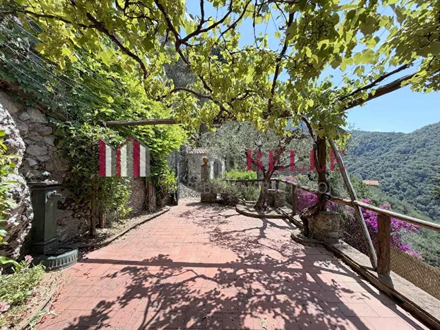 Immagine 47 di Rustico / casale in vendita  a Camaiore
