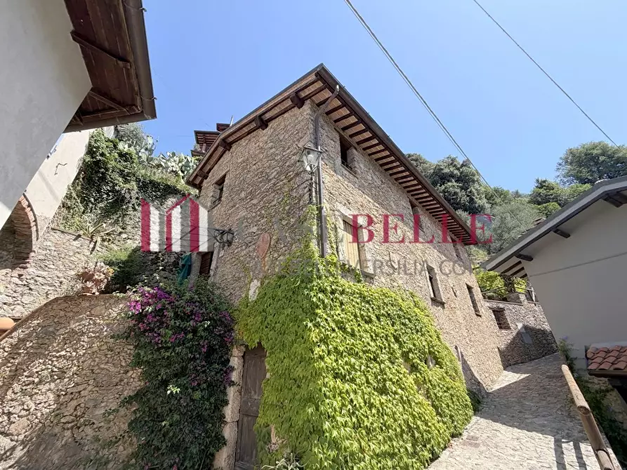 Immagine 51 di Rustico / casale in vendita  a Camaiore