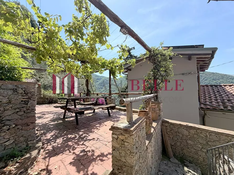 Immagine 46 di Rustico / casale in vendita  a Camaiore