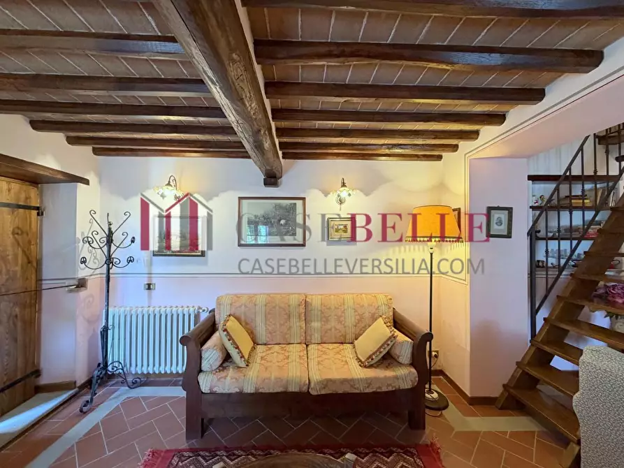 Immagine 5 di Rustico / casale in vendita  a Camaiore