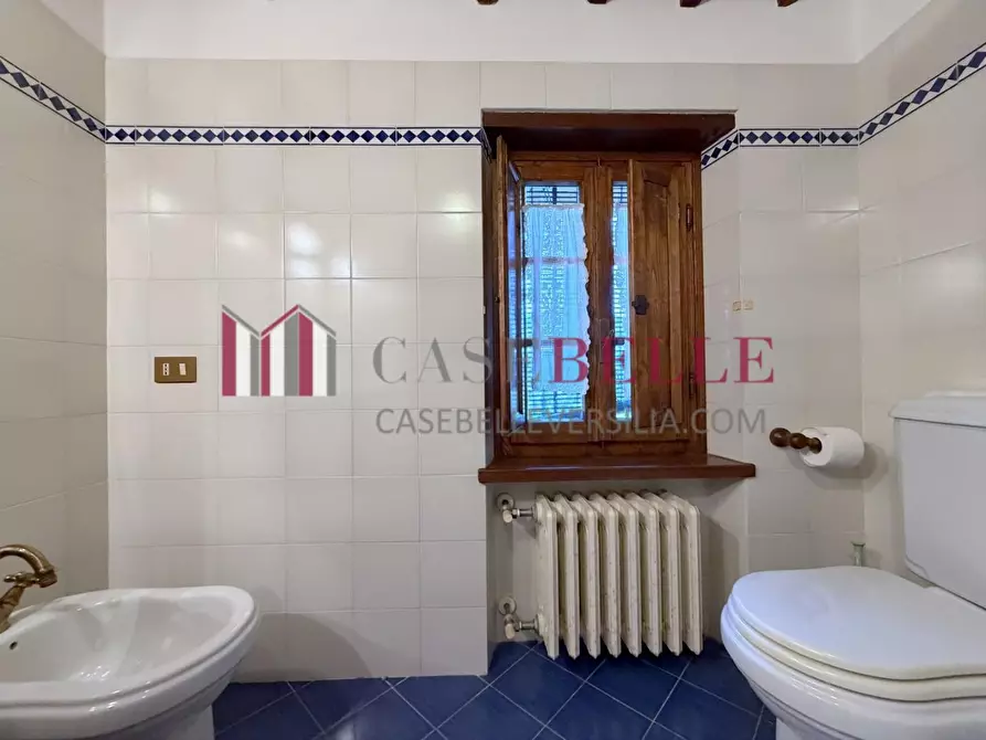 Immagine 38 di Rustico / casale in vendita  a Camaiore