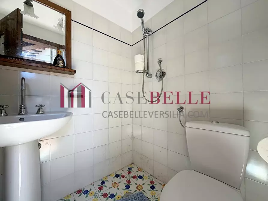 Immagine 19 di Rustico / casale in vendita  a Camaiore