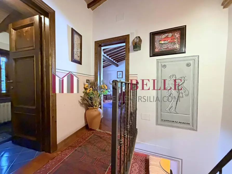 Immagine 29 di Rustico / casale in vendita  a Camaiore