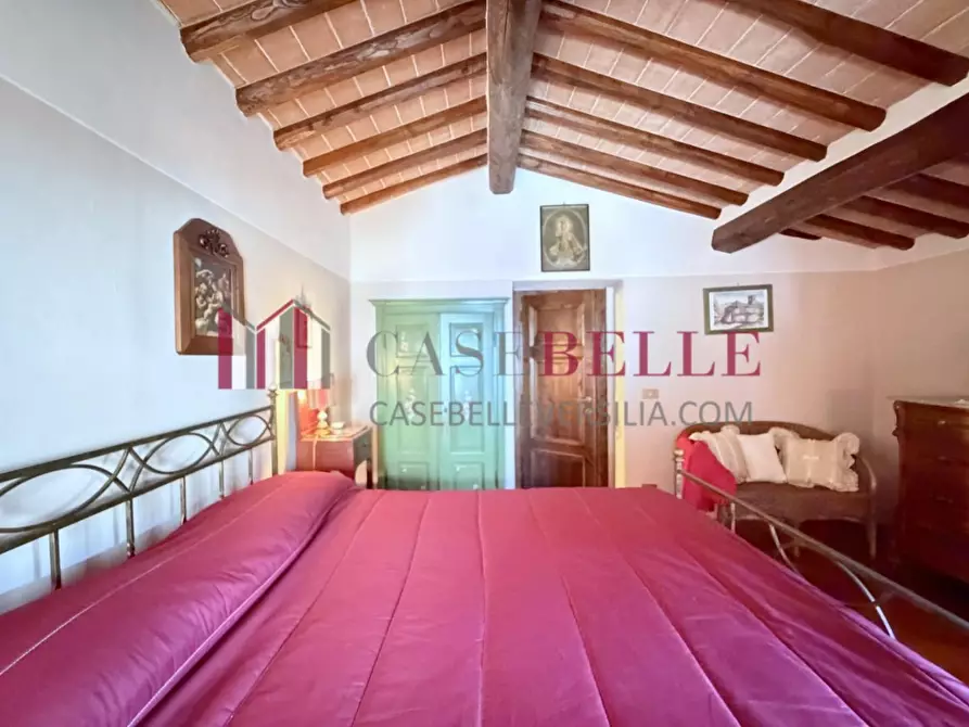 Immagine 33 di Rustico / casale in vendita  a Camaiore