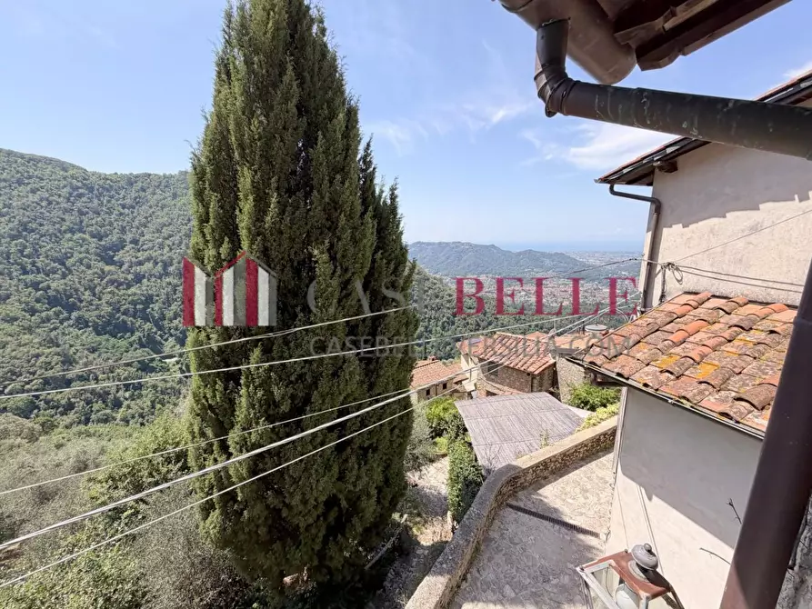 Immagine 40 di Rustico / casale in vendita  a Camaiore
