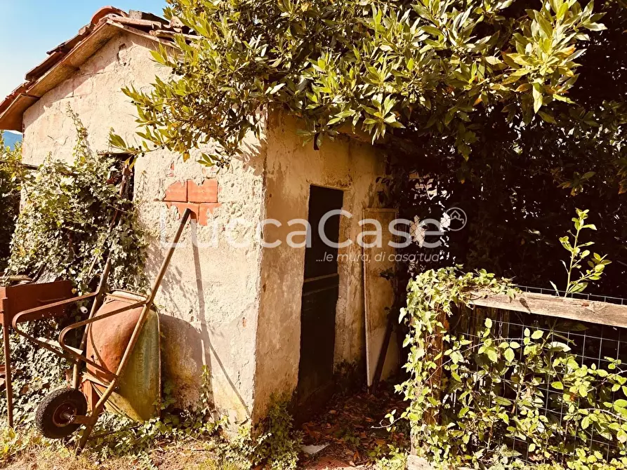 Immagine 21 di Casa indipendente in vendita  a Barga