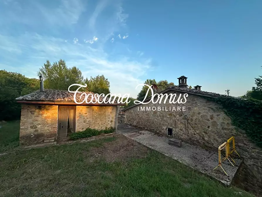 Immagine 4 di Casa colonica in vendita  a Sovicille