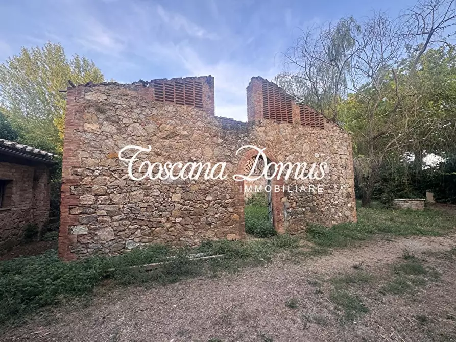 Immagine 10 di Casa colonica in vendita  a Sovicille