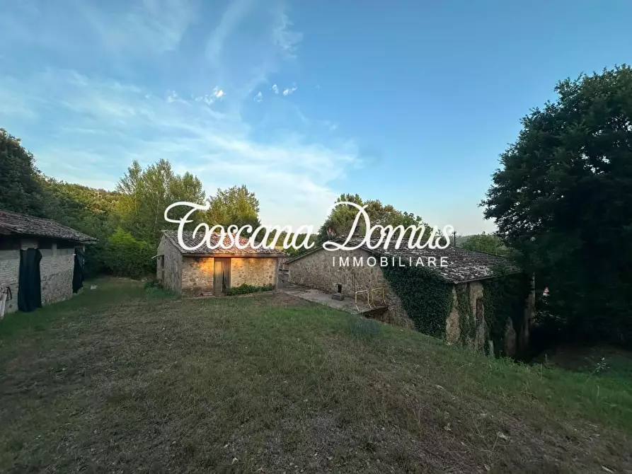 Immagine 6 di Casa colonica in vendita  a Sovicille