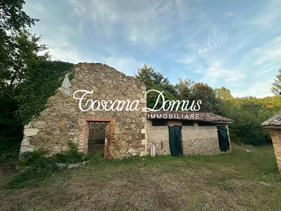 Immagine 3 di Casa colonica in vendita  a Sovicille