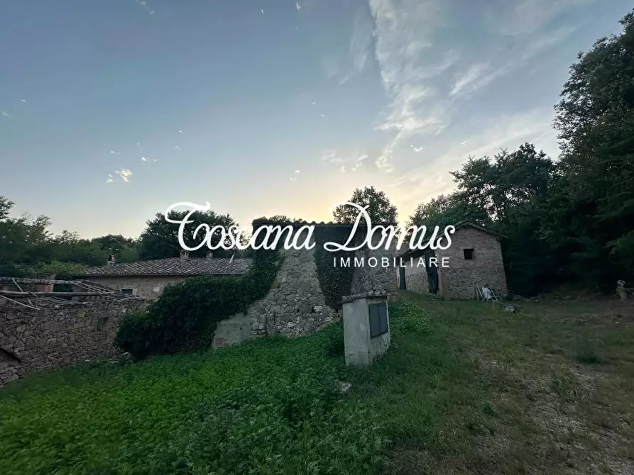 Immagine 7 di Casa colonica in vendita  a Sovicille