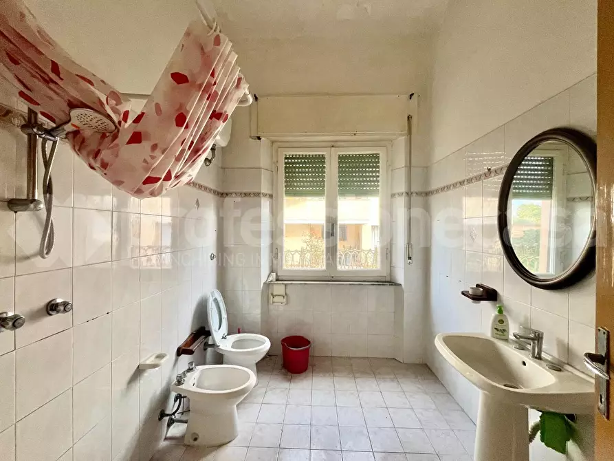 Immagine 31 di Villa in vendita  a Vecchiano