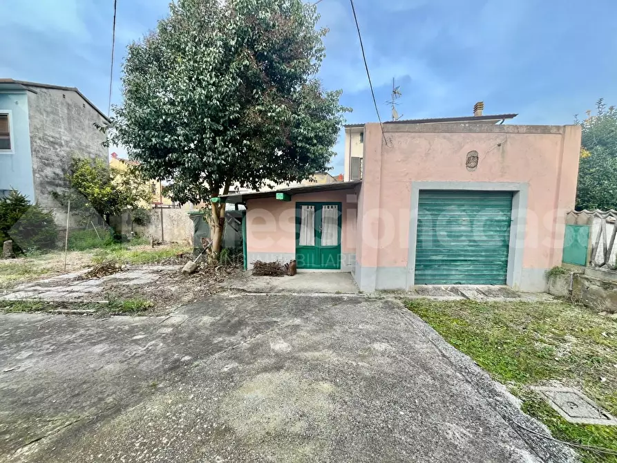 Immagine 14 di Villa in vendita  a Vecchiano