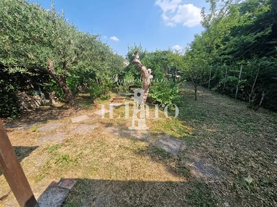 Immagine 5 di Terratetto in vendita  a Campi Bisenzio