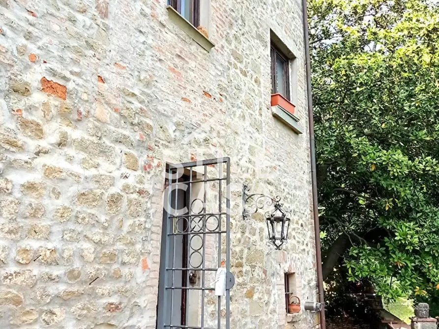 Immagine 35 di Terratetto in vendita  a Uzzano