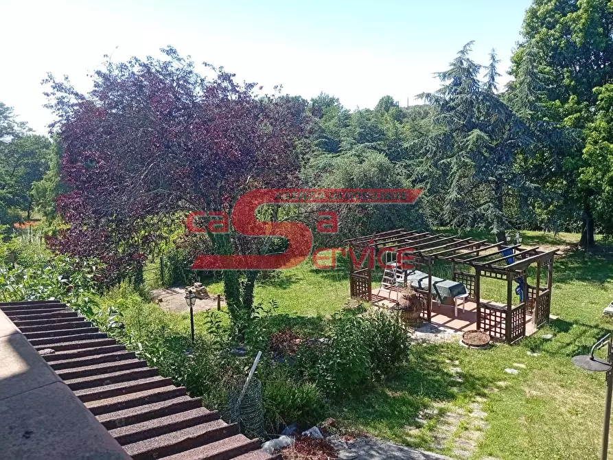 Immagine 6 di Terratetto in vendita  a Lamporecchio
