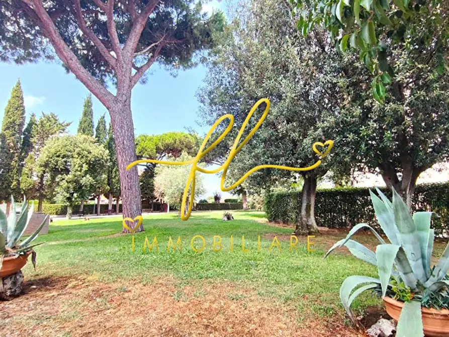 Immagine 27 di Appartamento in vendita  a Cecina