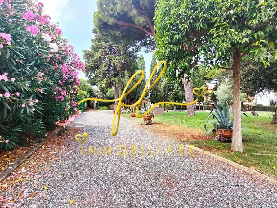 Immagine 26 di Appartamento in vendita  a Cecina