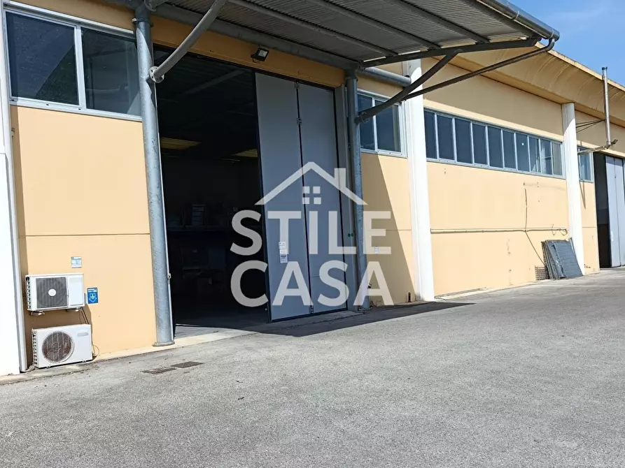 Immagine 30 di Capannone industriale in vendita  a Buti