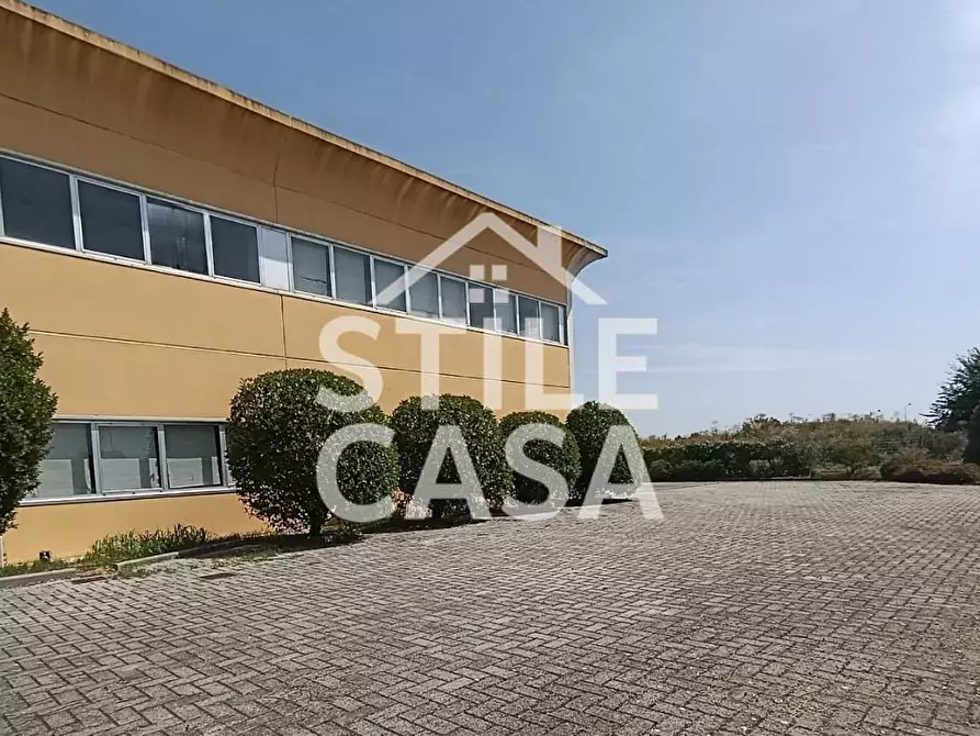 Immagine 32 di Capannone industriale in vendita  a Buti