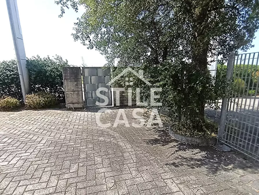 Immagine 26 di Capannone industriale in vendita  a Buti