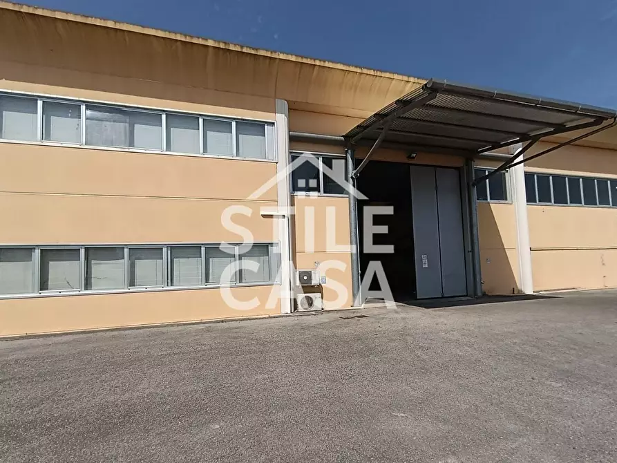 Immagine 33 di Capannone industriale in vendita  a Buti
