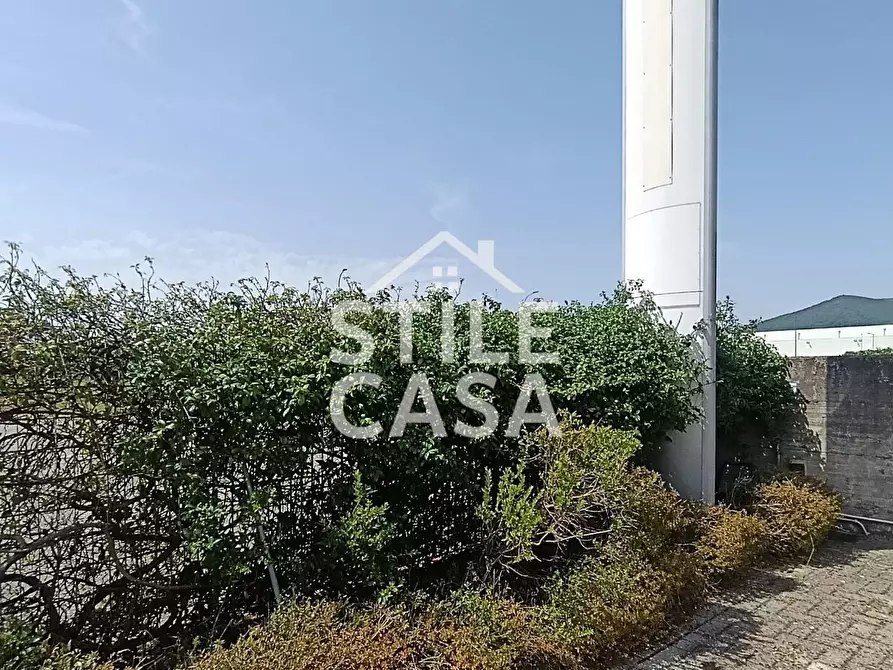 Immagine 27 di Capannone industriale in vendita  a Buti