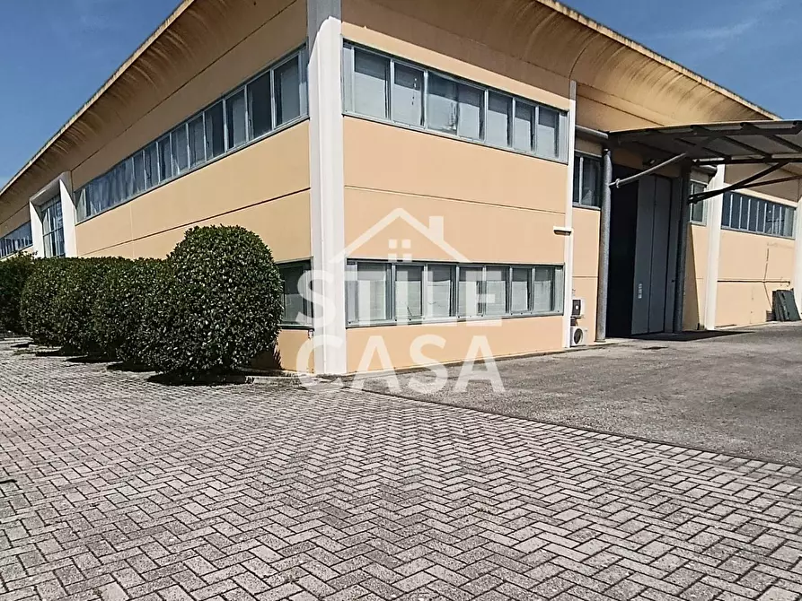 Immagine 31 di Capannone industriale in vendita  a Buti
