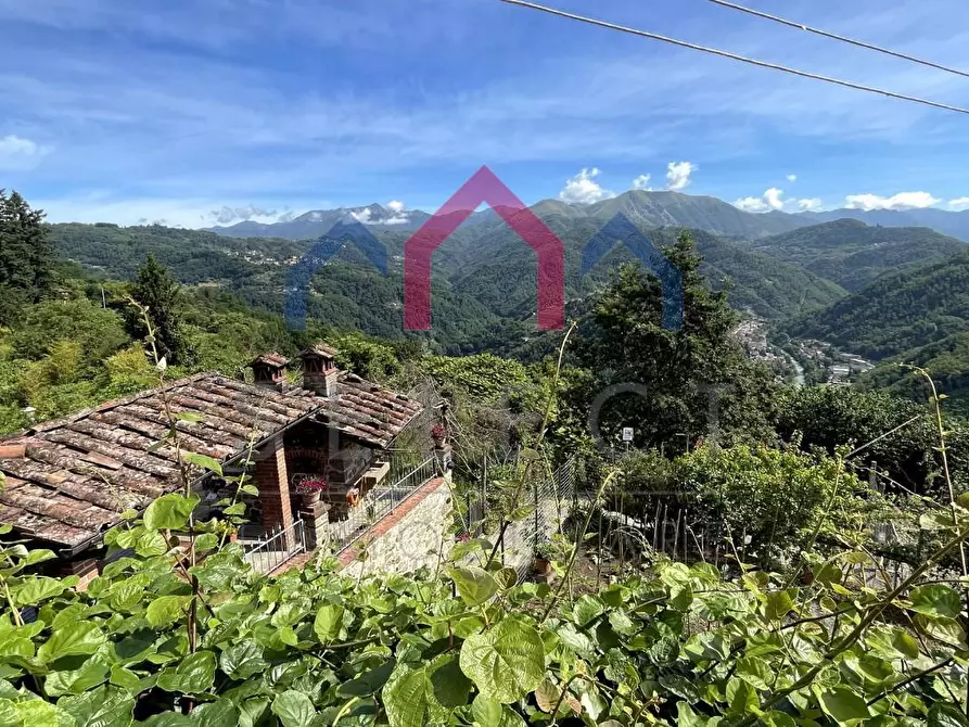 Immagine 45 di Appartamento in vendita  a Bagni Di Lucca